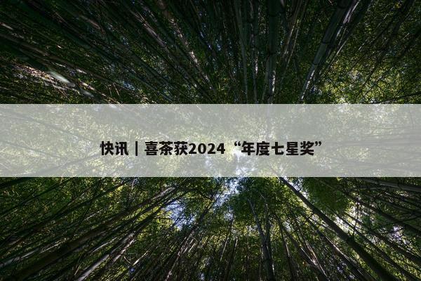 快讯｜喜茶获2024“年度七星奖”