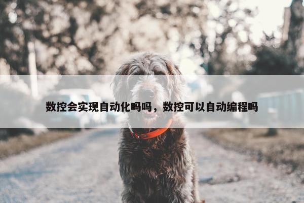 数控会实现自动化吗吗，数控可以自动编程吗