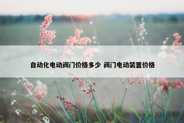 自动化电动阀门价格多少 阀门电动装置价格