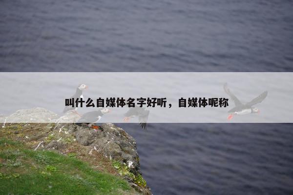 叫什么自媒体名字好听，自媒体呢称