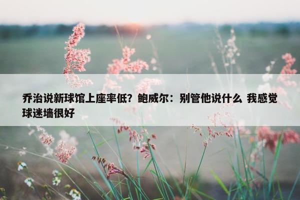 乔治说新球馆上座率低？鲍威尔：别管他说什么 我感觉球迷墙很好