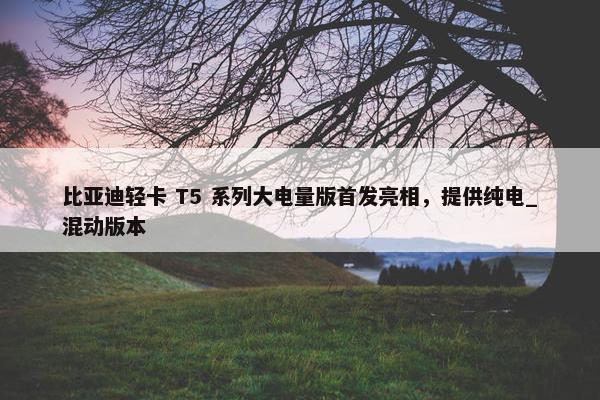 比亚迪轻卡 T5 系列大电量版首发亮相，提供纯电_混动版本