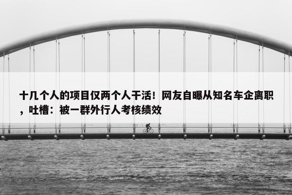 十几个人的项目仅两个人干活！网友自曝从知名车企离职，吐槽：被一群外行人考核绩效