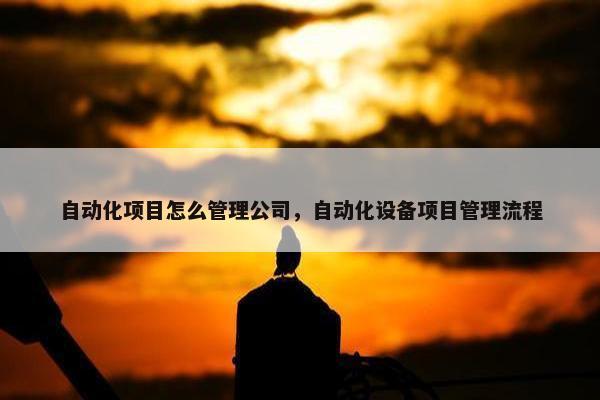 自动化项目怎么管理公司，自动化设备项目管理流程