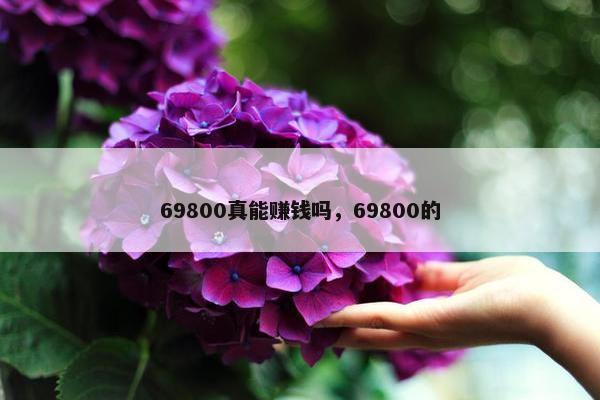 69800真能赚钱吗，69800的