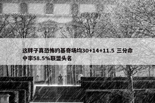 这胖子真恐怖约基奇场均30+14+11.5 三分命中率58.5%联盟头名