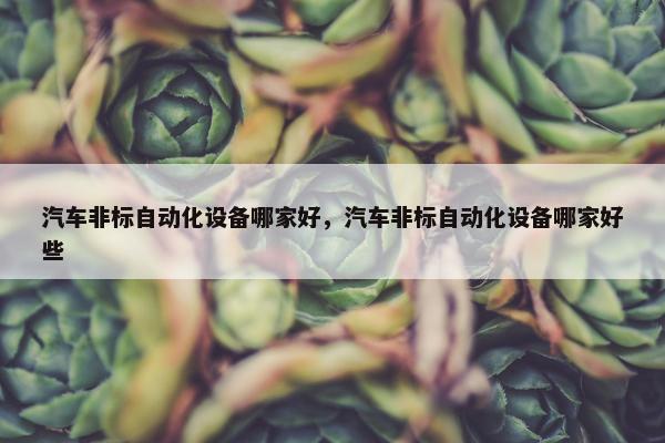 汽车非标自动化设备哪家好，汽车非标自动化设备哪家好些