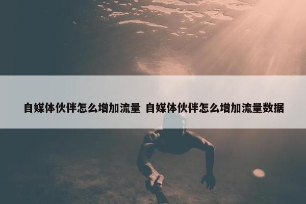 自媒体伙伴怎么增加流量 自媒体伙伴怎么增加流量数据