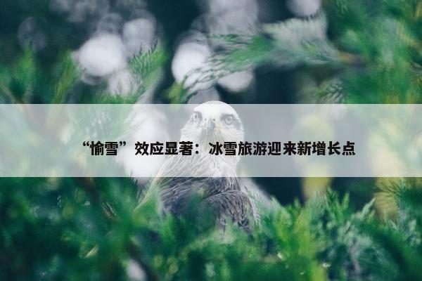 “愉雪”效应显著：冰雪旅游迎来新增长点