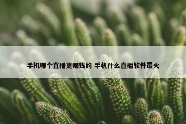 手机哪个直播更赚钱的 手机什么直播软件最火