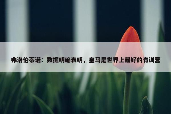 弗洛伦蒂诺：数据明确表明，皇马是世界上最好的青训营