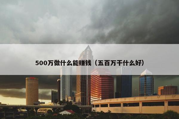 500万做什么能赚钱（五百万干什么好）