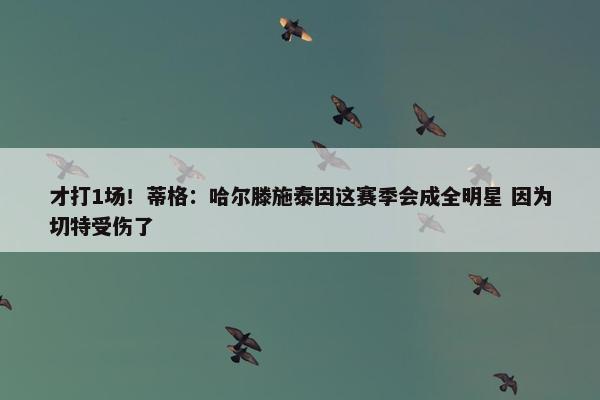 才打1场！蒂格：哈尔滕施泰因这赛季会成全明星 因为切特受伤了