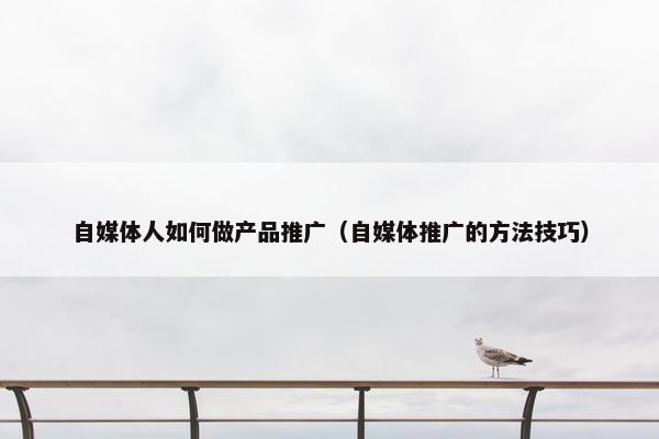 自媒体人如何做产品推广（自媒体推广的方法技巧）