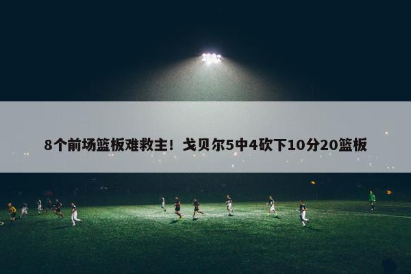 8个前场篮板难救主！戈贝尔5中4砍下10分20篮板