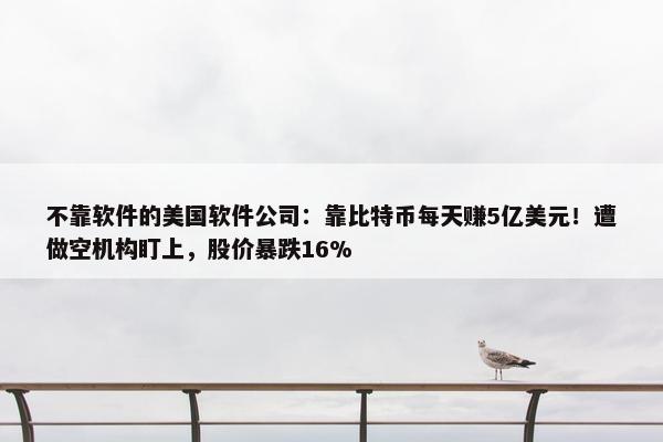 不靠软件的美国软件公司：靠比特币每天赚5亿美元！遭做空机构盯上，股价暴跌16%