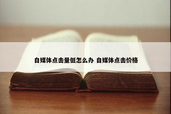 自媒体点击量低怎么办 自媒体点击价格