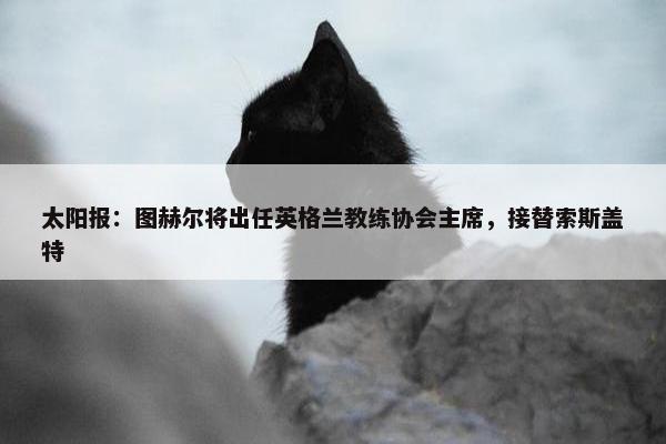 太阳报：图赫尔将出任英格兰教练协会主席，接替索斯盖特