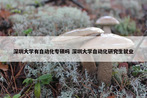 深圳大学有自动化专硕吗 深圳大学自动化研究生就业