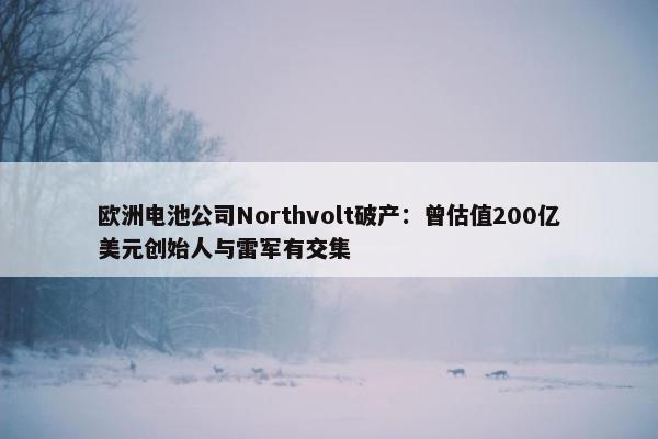 欧洲电池公司Northvolt破产：曾估值200亿美元创始人与雷军有交集