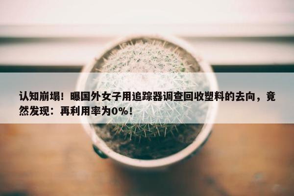 认知崩塌！曝国外女子用追踪器调查回收塑料的去向，竟然发现：再利用率为0%！