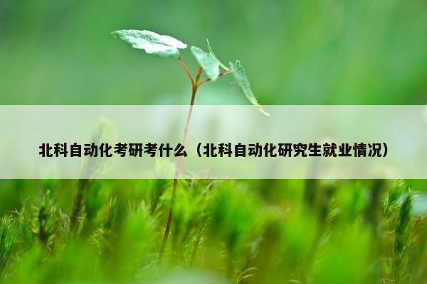 北科自动化考研考什么（北科自动化研究生就业情况）