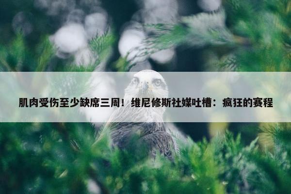 肌肉受伤至少缺席三周！维尼修斯社媒吐槽：疯狂的赛程