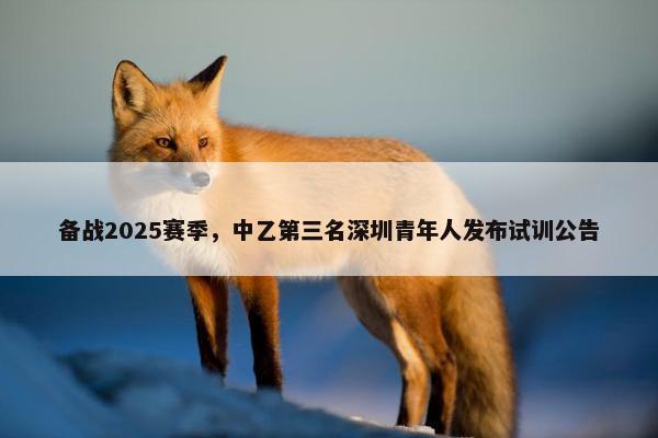 备战2025赛季，中乙第三名深圳青年人发布试训公告