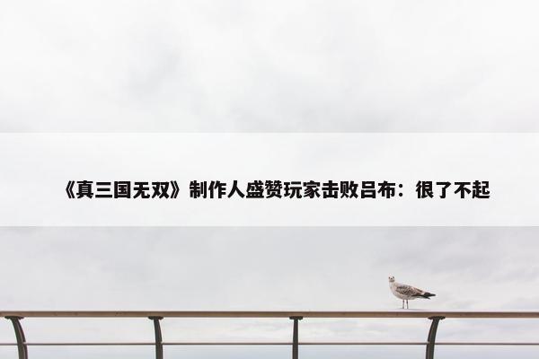 《真三国无双》制作人盛赞玩家击败吕布：很了不起