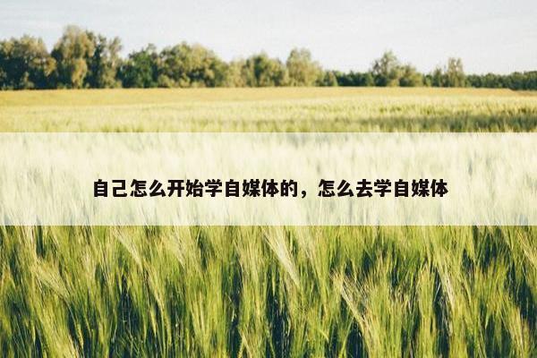 自己怎么开始学自媒体的，怎么去学自媒体