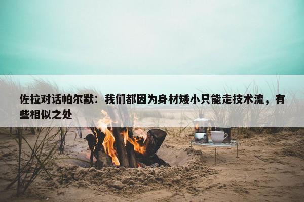 佐拉对话帕尔默：我们都因为身材矮小只能走技术流，有些相似之处