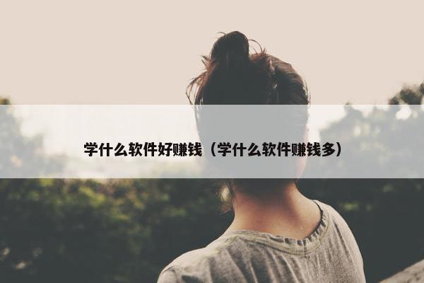 学什么软件好赚钱（学什么软件赚钱多）