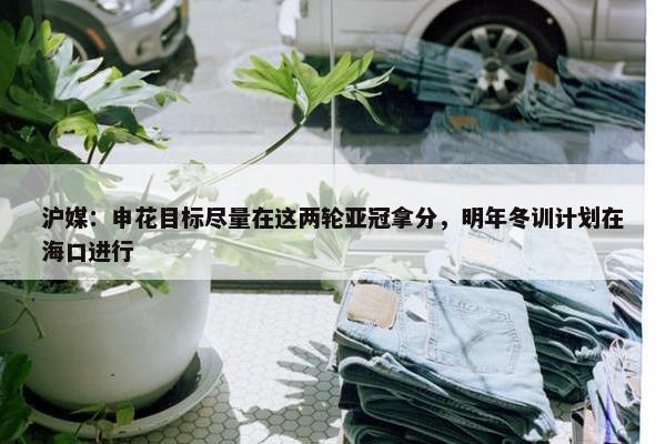 沪媒：申花目标尽量在这两轮亚冠拿分，明年冬训计划在海口进行