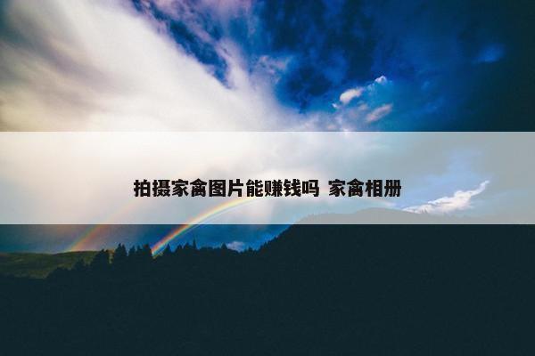 拍摄家禽图片能赚钱吗 家禽相册