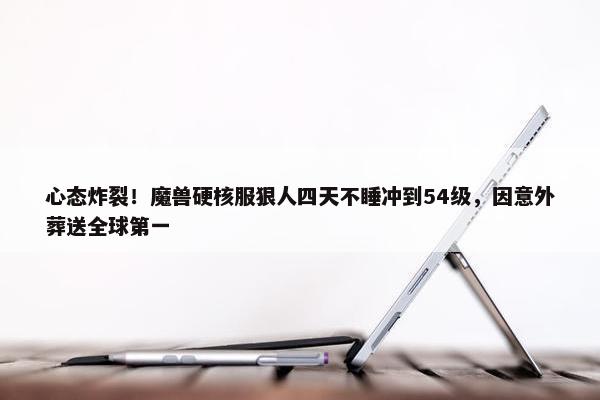 心态炸裂！魔兽硬核服狠人四天不睡冲到54级，因意外葬送全球第一