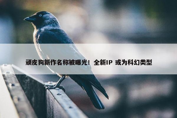 顽皮狗新作名称被曝光！全新IP 或为科幻类型