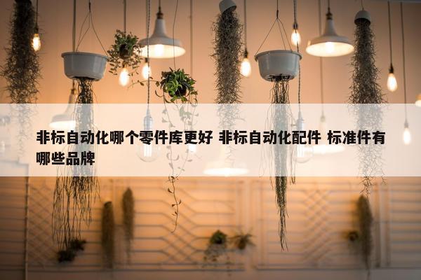 非标自动化哪个零件库更好 非标自动化配件 标准件有哪些品牌