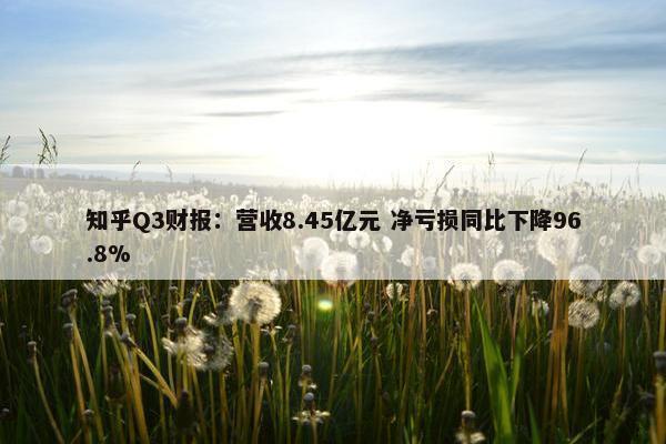 知乎Q3财报：营收8.45亿元 净亏损同比下降96.8%