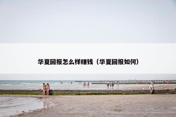 华夏回报怎么样赚钱（华夏回报如何）