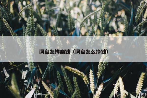 网盘怎样赚钱（网盘怎么挣钱）