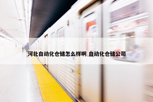 河北自动化仓储怎么样啊 自动化仓储公司