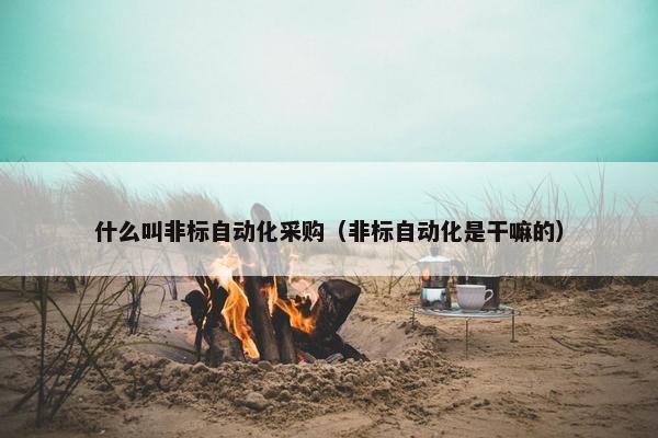 什么叫非标自动化采购（非标自动化是干嘛的）