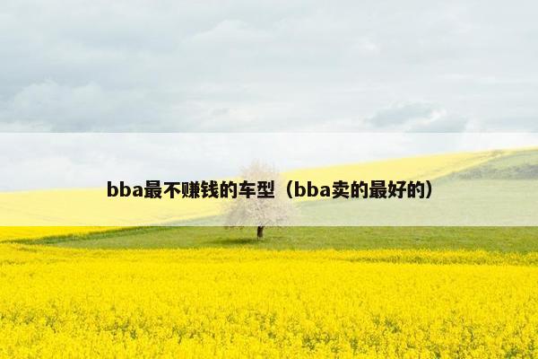 bba最不赚钱的车型（bba卖的最好的）