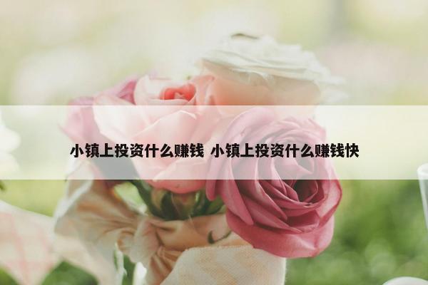 小镇上投资什么赚钱 小镇上投资什么赚钱快