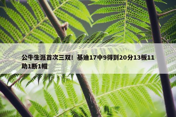 公牛生涯首次三双！基迪17中9得到20分13板11助1断1帽