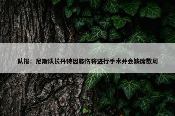 队报：尼斯队长丹特因膝伤将进行手术并会缺席数周