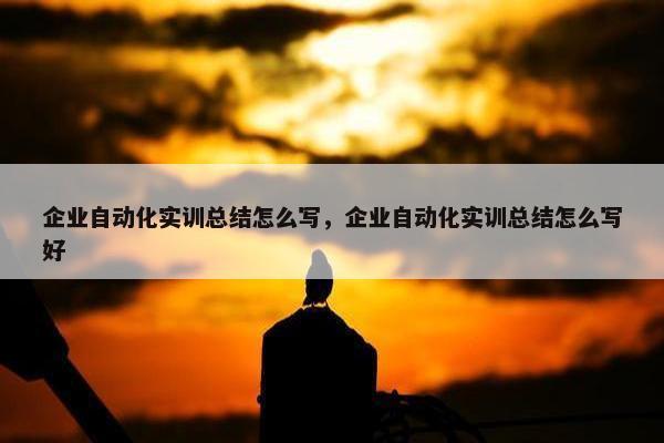 企业自动化实训总结怎么写，企业自动化实训总结怎么写好