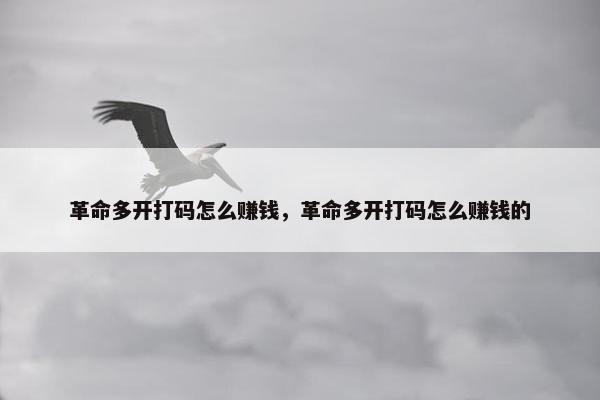 革命多开打码怎么赚钱，革命多开打码怎么赚钱的