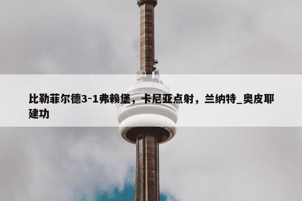 比勒菲尔德3-1弗赖堡，卡尼亚点射，兰纳特_奥皮耶建功