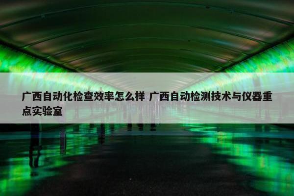 广西自动化检查效率怎么样 广西自动检测技术与仪器重点实验室